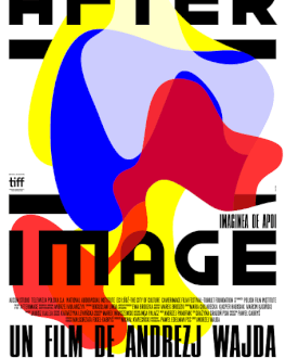 Afterimage / Imaginea de apoi ARTA-Acasă