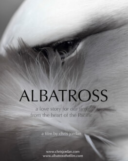 Albatross ARTA-Acasă