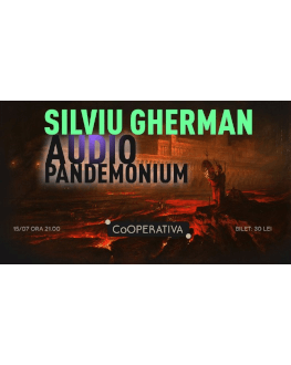 Silviu Gherman - Audio Pandemonium 