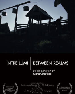 Between Realms / Între lumi Astra Film Festival 2020