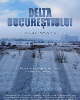 DELTA BUCUREȘTIULUI ELVIRE CHEZ VOUS X FILMS IN FRAME