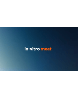 IN-VITRO MEAT (2018) GreenTech Film Festival 4