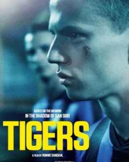 Tigri / Tigers TIFF.20