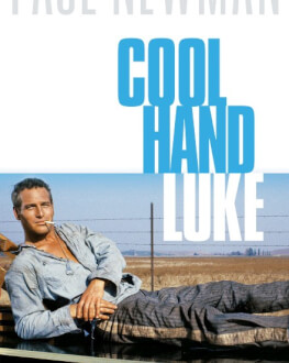 LUKE MÂNĂ RECE / COOL HAND LUKE 