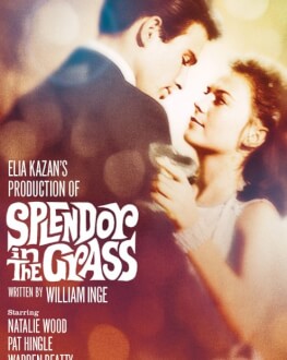 SPLENDOARE ÎN IARBĂ / SPLENDOR IN THE GRASS Natalie Wood, 85 de ani de la naștere (20 iulie)