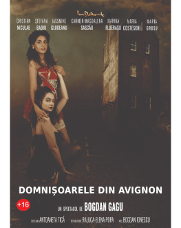 Domnișoarele din Avignon 