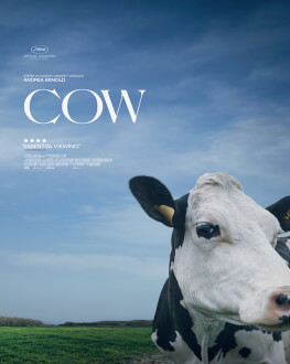 COW ESTE Film Festival