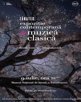 ZĂNATEC. Expoziție contemporană de muzică clasică 