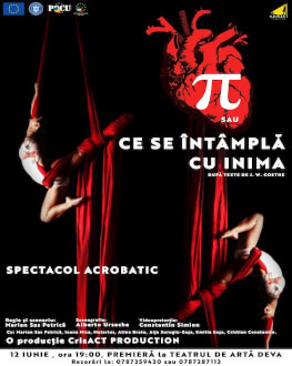 Pi sau Ce se întâmplă cu inima- spectacol acrobatic 