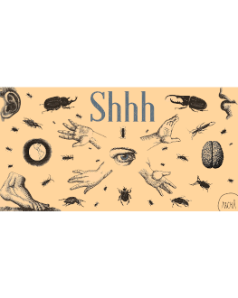 Shhh! – spectacol de improvizatie non-verbala 19 November 2022 Recul