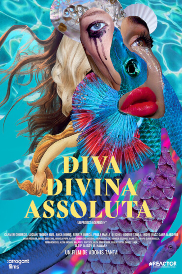 Diva Divina Assoluta Reactor - Focus: intersecții