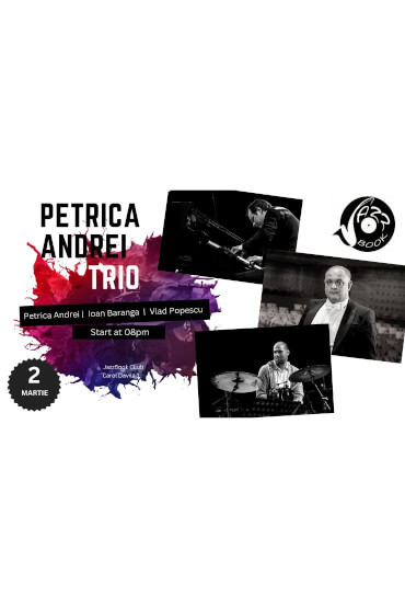 Petrica Andrei Trio 
