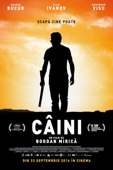 Câini 