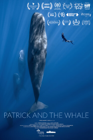 Patrick și balena / Patrick And The Whale TIFF.22