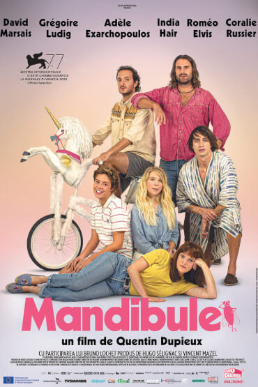 MANDIBULE / MANDIBULES 