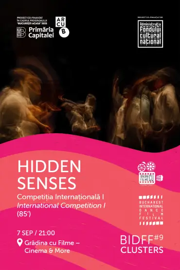 Bucharest International Dance Film Festival #9: Clusters – HIDDEN SENSES 