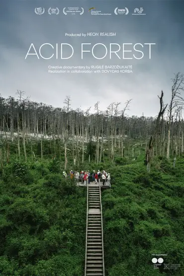 Pădurea acidă | Acid Forest 
