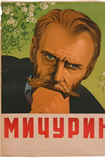 UN VIS ÎMPLINIT / MICIURIN 