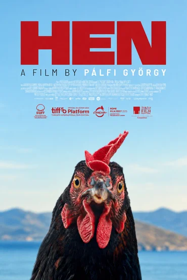 HEN / GĂINĂ 