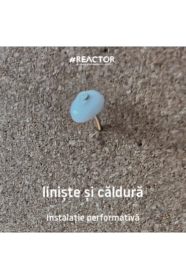 liniște și căldură Instalație performativă