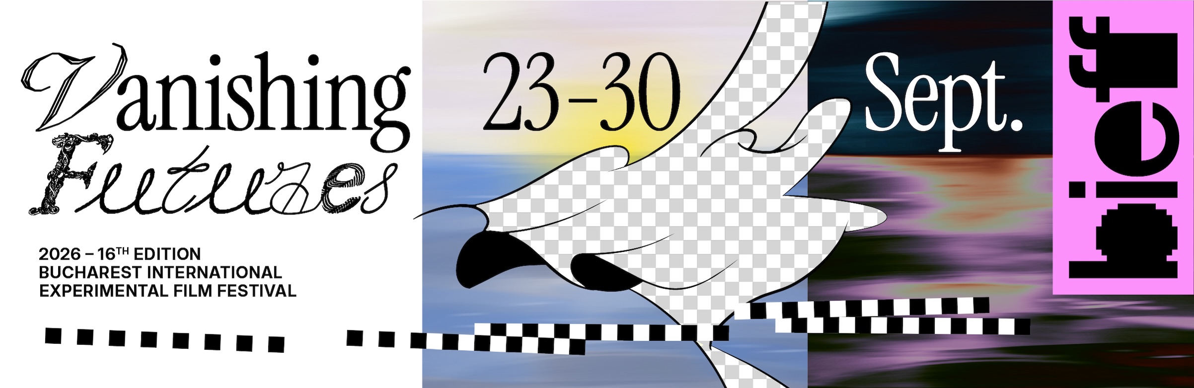 program image
