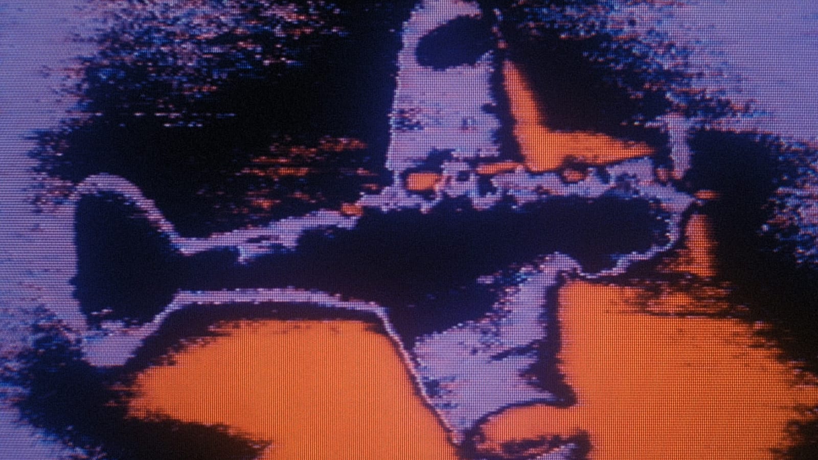 program image