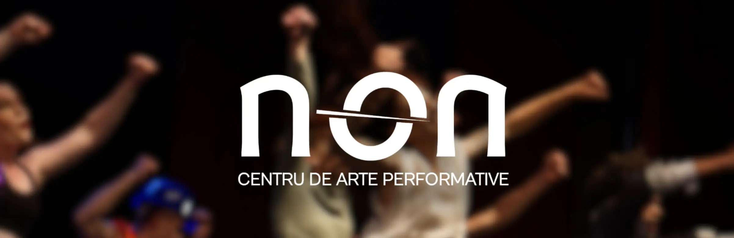 NON Centru de Arte Performative