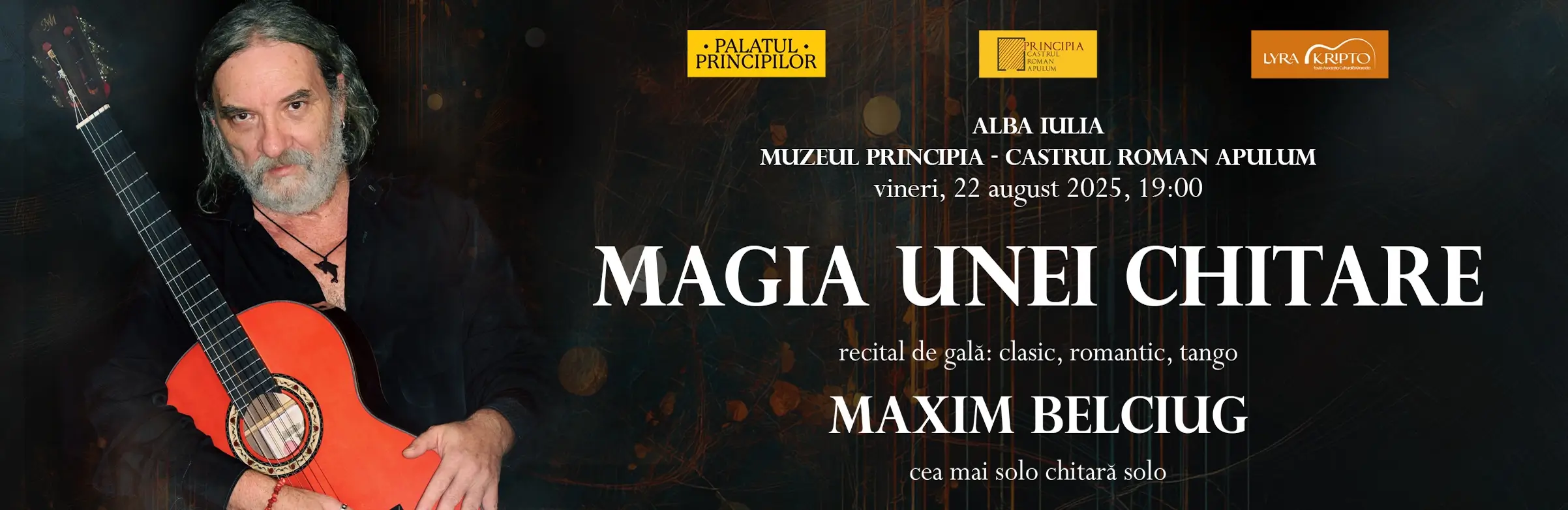 Magia unei chitare