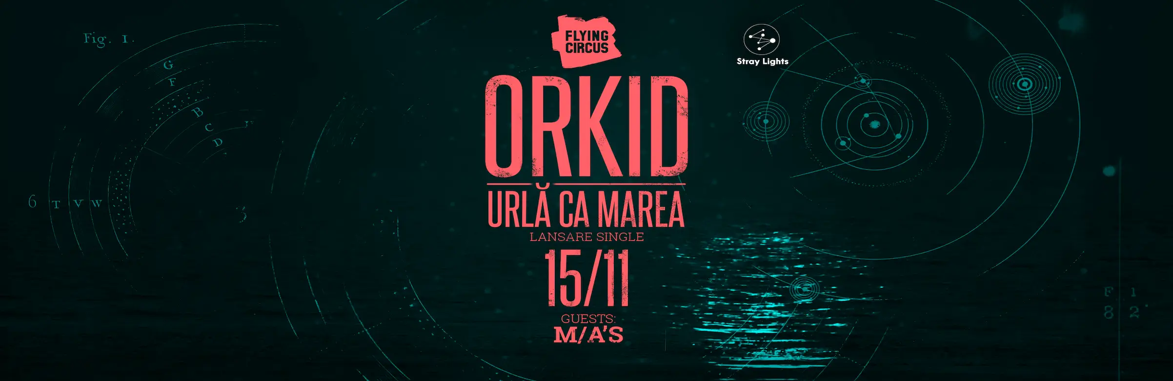 Orkid Cluj