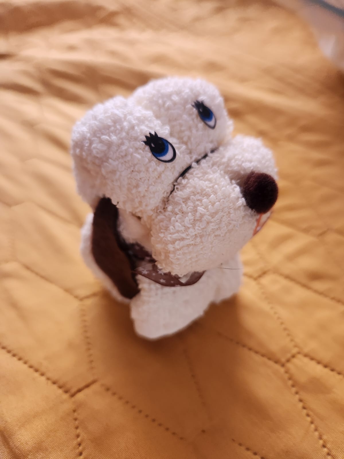 perrito toalla