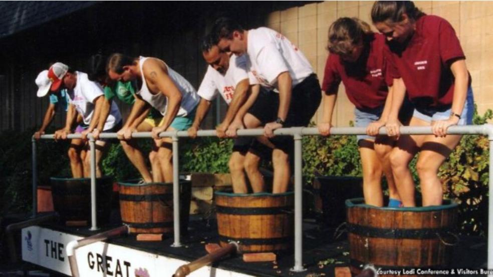 Lodi Grape Festival 2025