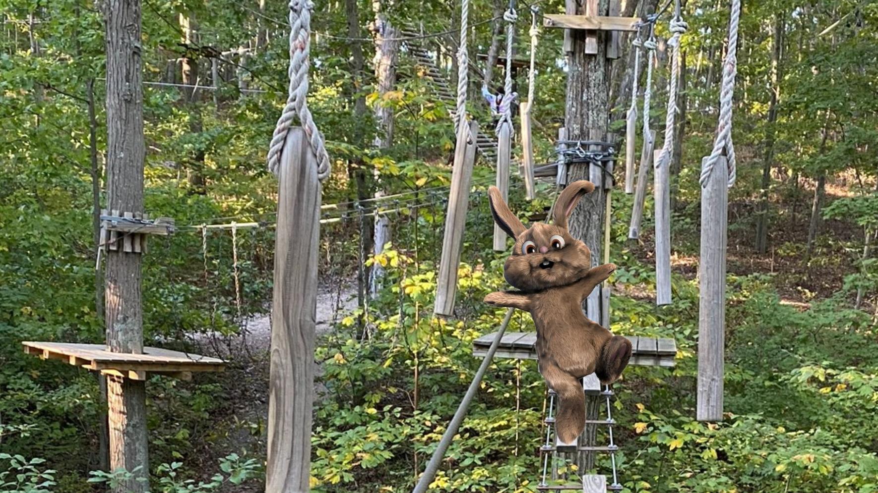 Easter Egg Hunt in the Trees