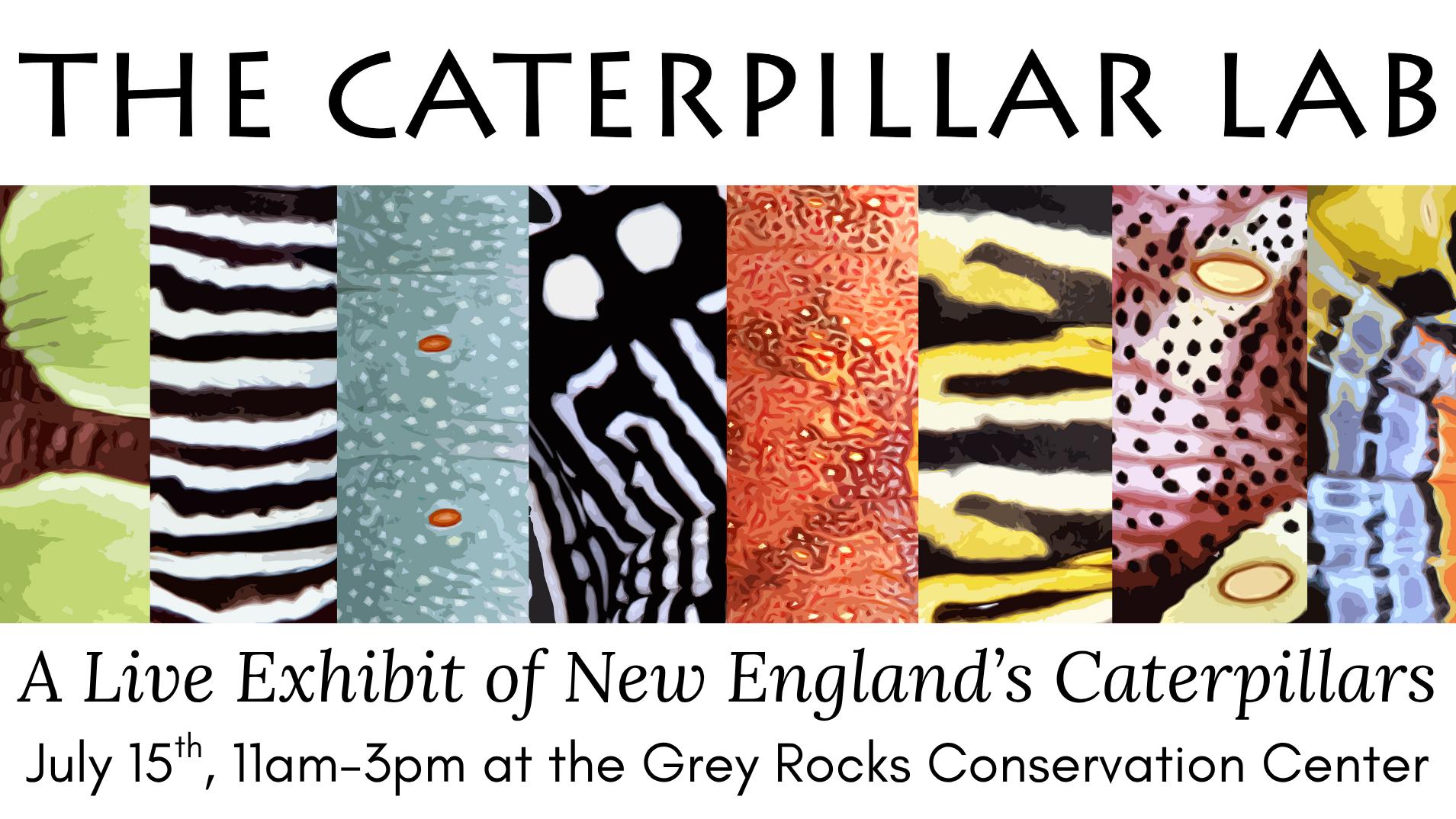 The Caterpillar Lab