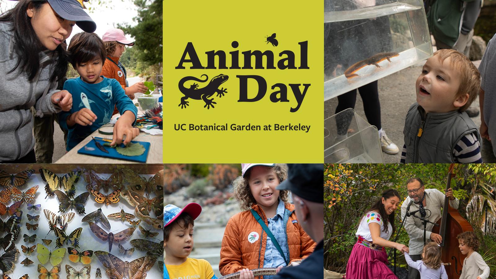 Animal Day