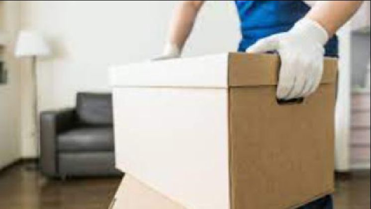 Local Moving Service in Riverview