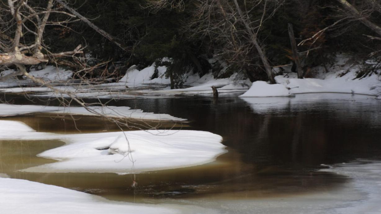 Weekender - Add Upper Stony Creek in Byfield National Park