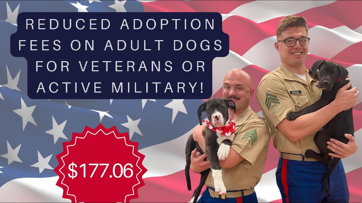 Adoption Fee Promotion For Veterans!