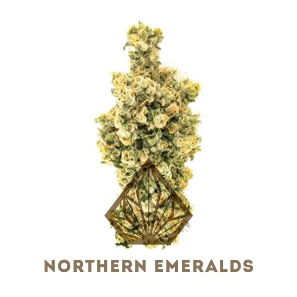 Northern Emeralds Flower Caramel Apple Romulan 14g