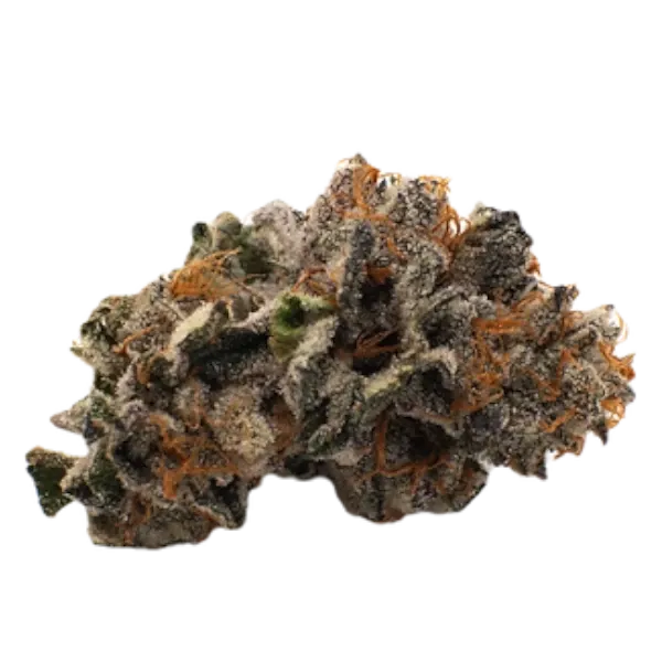 HEMP DERIVED | Sweet Heat THC-A Flower Sherbert 