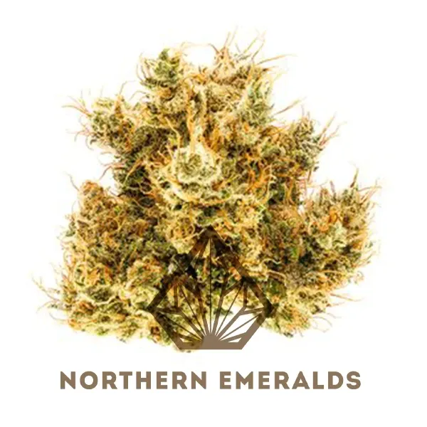 Northern Emeralds Flower Dutch Diamonds 14g
