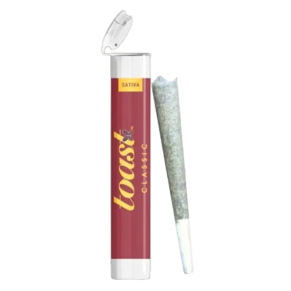 Toast Pre Roll Classic Mimosa 1g