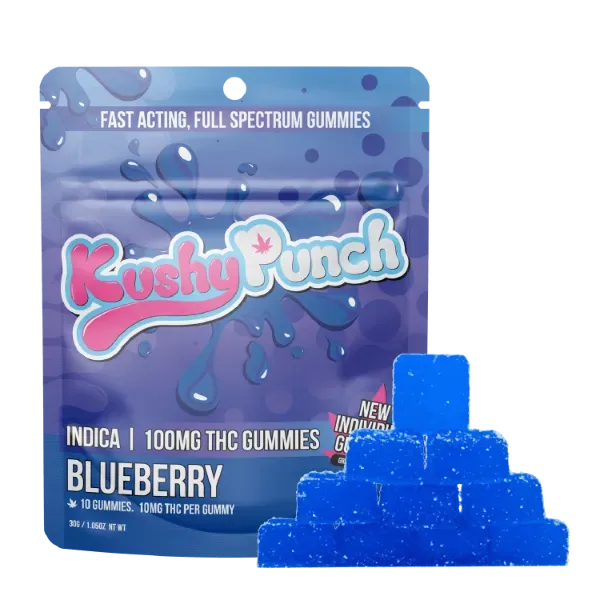 Kushy Punch Gummies Blueberry 20ct