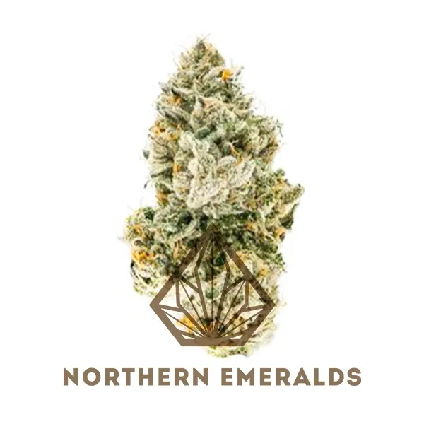 Northern Emeralds Flower Vanilla Biscotti 14g