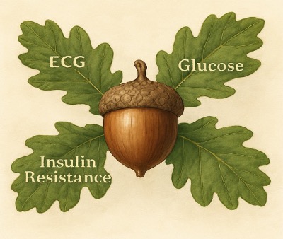 Primary Care Training