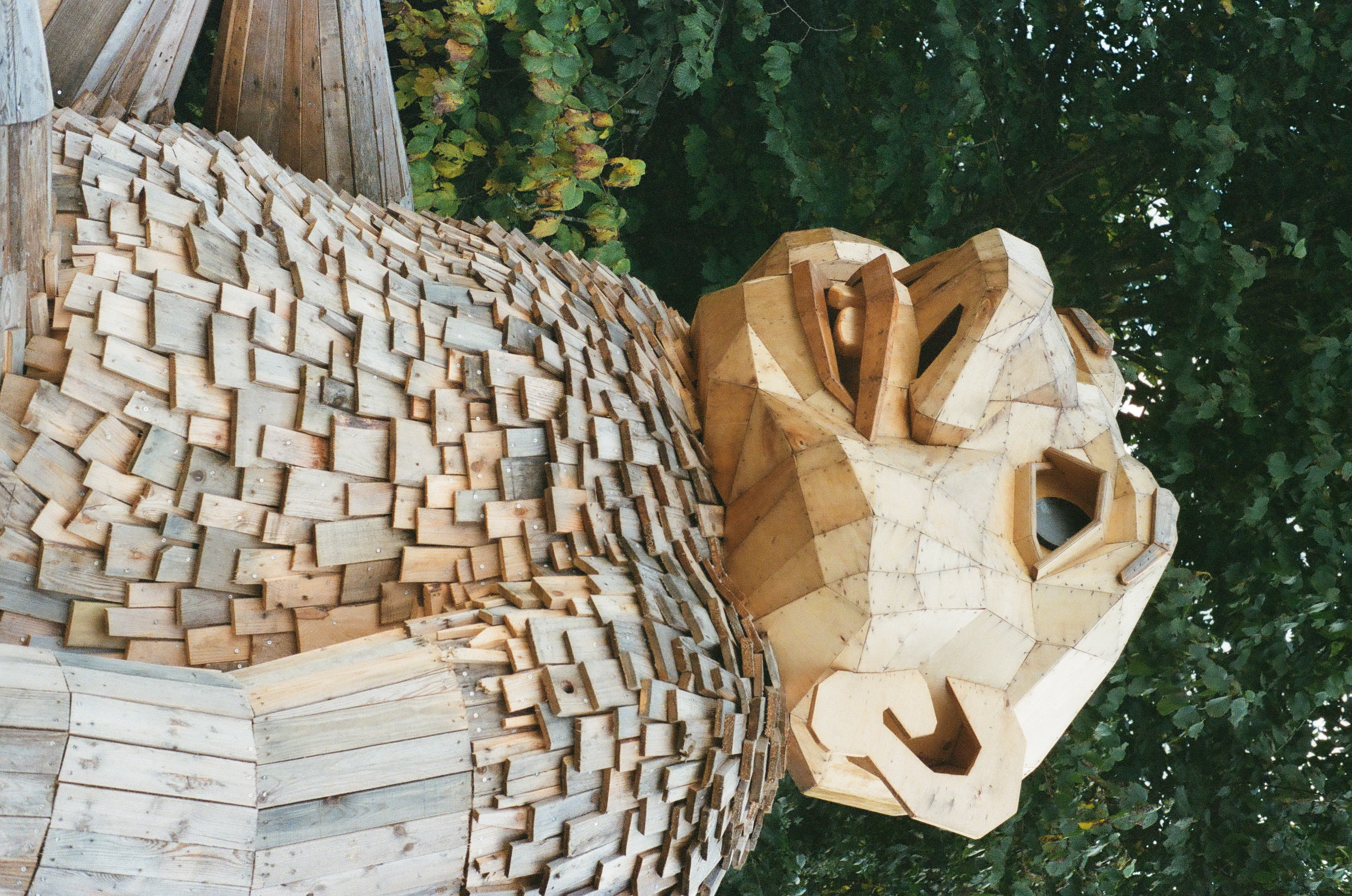 Analog Photography — 5