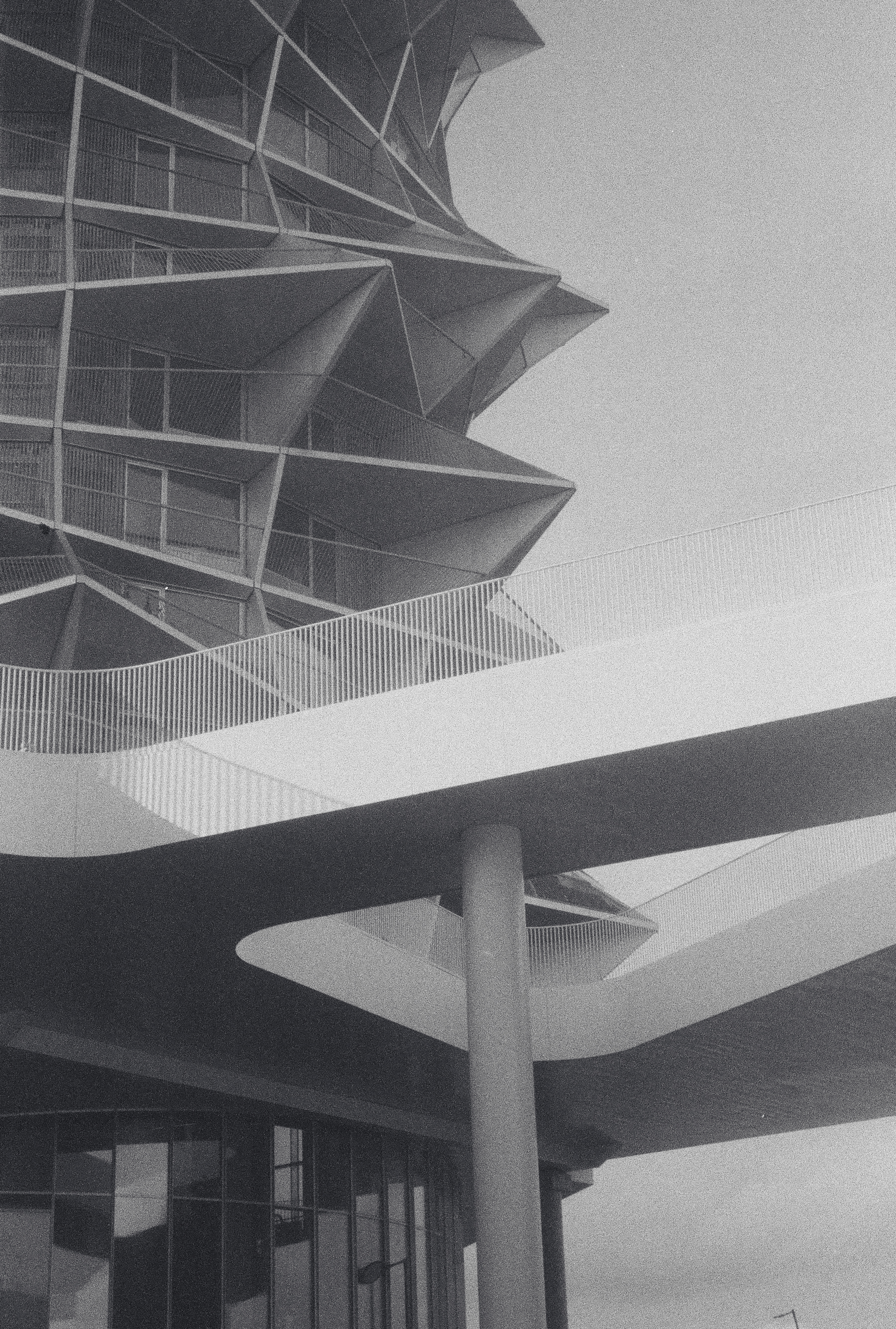 Analog Photography — 13