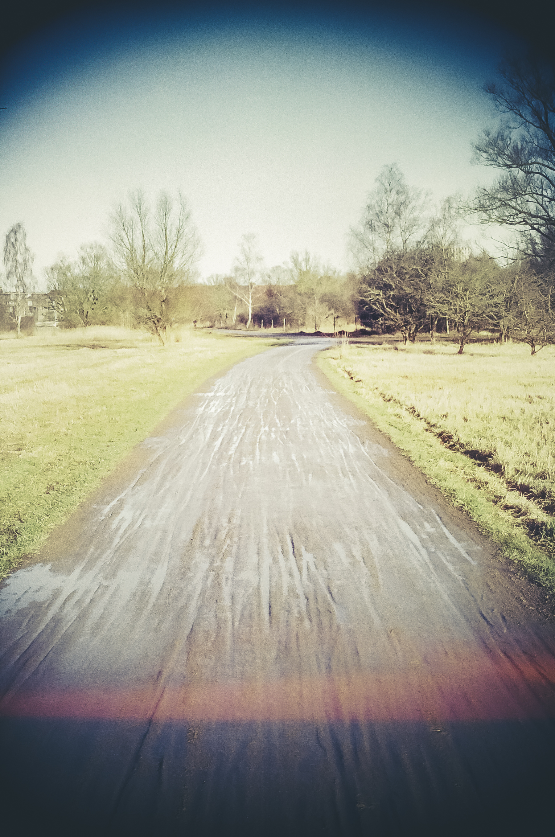 Analog Photography — 19