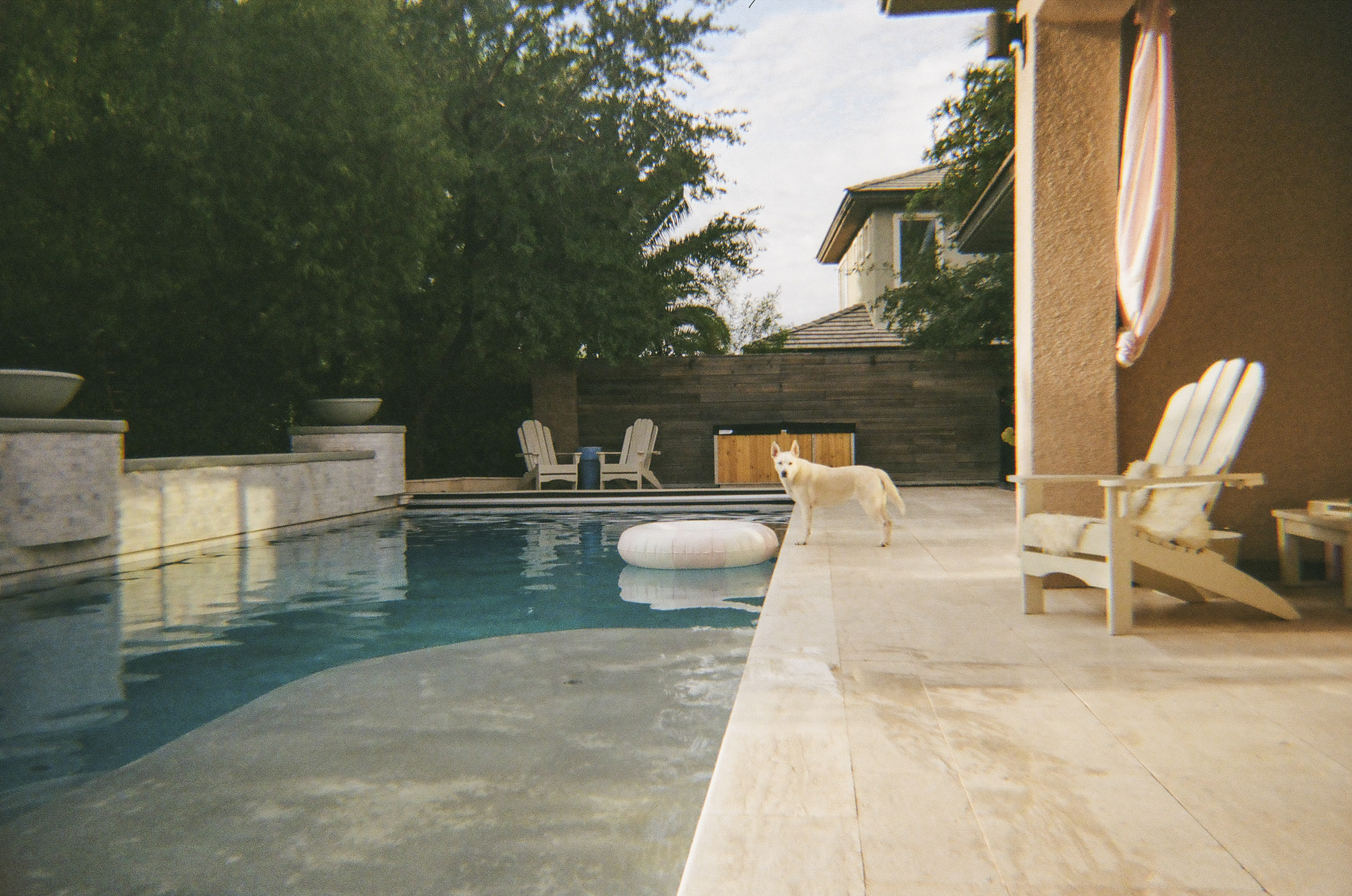 Analog Photography — 31