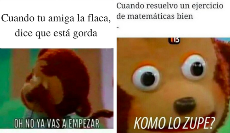 JAJA 10 Memes que describen la vida cotidiana