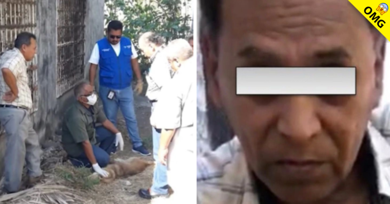 En México hombre es sentenciado por asesinar a su mascota